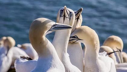 开云-秀我中国|“苏超”赛场的“赤面兽”少年,竟然有“两副面孔”……